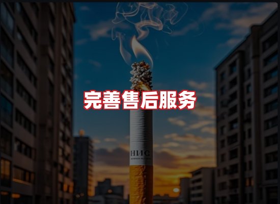专业团队